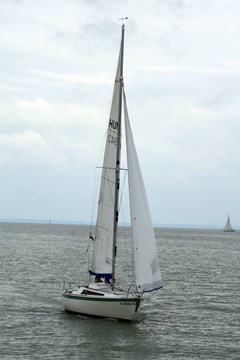 Wassersport auf dem Balaton